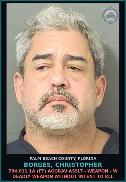 CCW arrest card for BORGES, CHRISTOPHER in Palm Beach County: 784.021 1A (FT) AGGRAV ASSLT - WEAPON - W DEADLY WEAPON WITHOUT INTENT TO KILL
