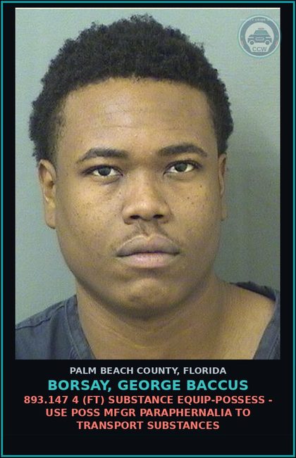 CCW arrest card for BORSAY, GEORGE BACCUS in Palm Beach County: 893.13 1A1 (FS) DRUGS-SELL - SELL contr substance SCHEDULE I