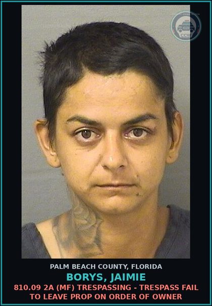 CCW arrest card for BORYS, JAIMIE in Palm Beach County: 810.09 2A (MF) TRESPASSING - TRESPASS FAIL TO LEAVE PROP ON ORDER OF OWNER