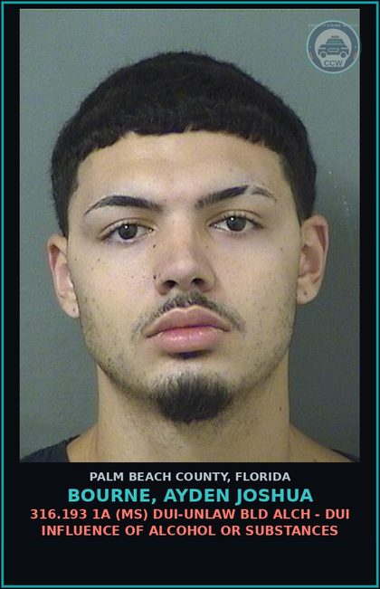 CCW arrest card for BOURNE, AYDEN JOSHUA in Palm Beach County: 316.193 1A (MS) DUI-UNLAW BLD ALCH - DUI INFLUENCE OF ALCOHOL OR DRUGS