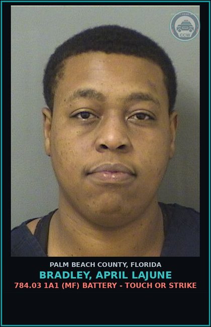CCW arrest card for BRADLEY, APRIL LAJUNE in Palm Beach County: 784.03 1A1 (MF) BATTERY - TOUCH OR STRIKE
