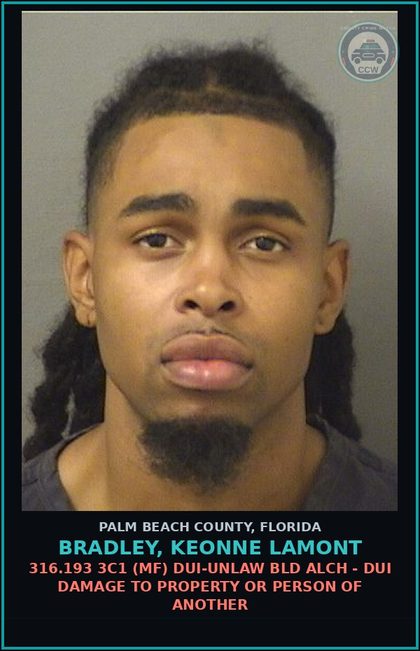 CCW arrest card for BRADLEY, KEONNE LAMONT in Palm Beach County: 316.193 3C1 (MF) DUI-UNLAW BLD ALCH - DUI DAMAGE TO PROPERTY OR PERSON OF ANOTHER