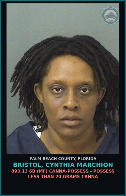 CCW arrest card for BRISTOL, CYNTHIA MARCHION in Palm Beach County: 893.13 6B (MF) Canna-POSSESS - POSSESS LESS THAN 20 GRAMS Canna