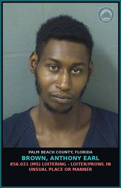 CCW arrest card for BROWN, ANTHONY EARL in Palm Beach County: 856.021 (MS) LOITERING - LOITER/PROWL IN UNSUAL PLACE OR MANNER