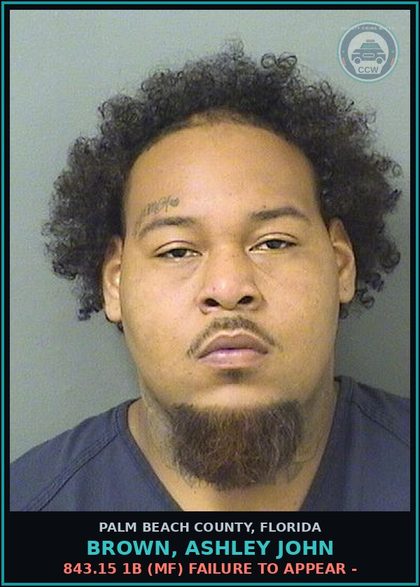 CCW arrest card for BROWN, ASHLEY JOHN in Palm Beach County: 843.15 1B (MF) FAILURE TO APPEAR -