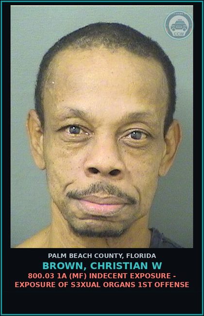 CCW arrest card for BROWN, CHRISTIAN W in Palm Beach County: 800.03 1A (MF) INDECENT EXPOSURE - EXPOSURE OF s3xual ORGANS 1ST OFFENSE
