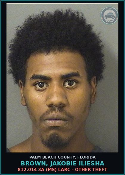 CCW arrest card for BROWN, JAKOBIE ILIESHA in Palm Beach County: 812.014 3A (MS) LARC - OTHER THEFT
