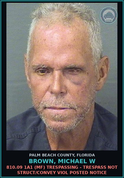 CCW arrest card for BROWN, MICHAEL W in Palm Beach County: 810.09 1A1 (MF) TRESPASSING - TRESPASS NOT STRUCT/CONVEY VIOL POSTED NOTICE