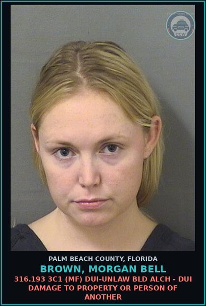 CCW arrest card for BROWN, MORGAN BELL in Palm Beach County: 316.193 3C1 (MF) DUI-UNLAW BLD ALCH - DUI DAMAGE TO PROPERTY OR PERSON OF ANOTHER