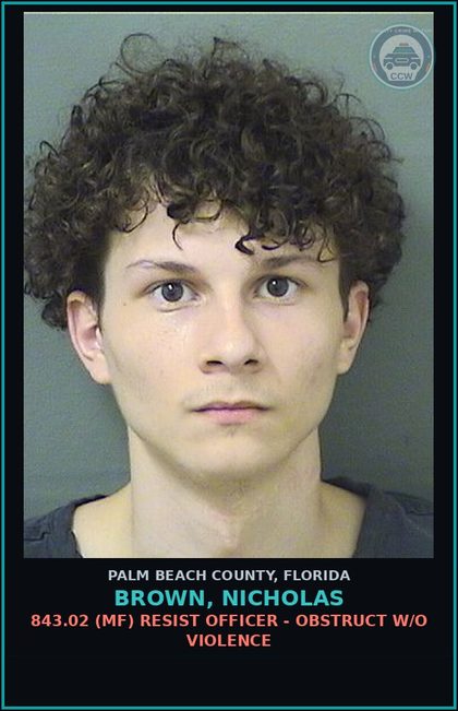CCW arrest card for BROWN, NICHOLAS in Palm Beach County: 843.02 (MF) RESIST OFFICER - OBSTRUCT W/O VIOLENCE