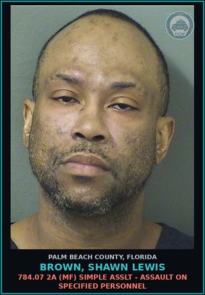 CCW arrest card for BROWN, SHAWN LEWIS in Palm Beach County: 810.08 1 (MS) TRESPASSING - TRESPASSING STRUCTURE OR CONVEYANCE