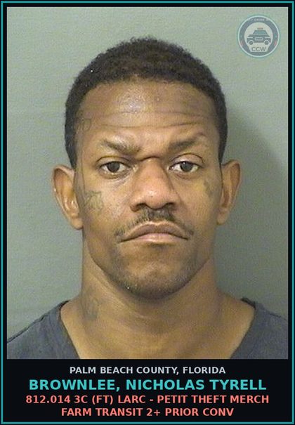 CCW arrest card for BROWNLEE, NICHOLAS TYRELL in Palm Beach County: 812.014 3C (FT) LARC - PETIT THEFT MERCH FARM TRANSIT 2+ PRIOR CONV