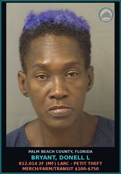 CCW arrest card for BRYANT, DONELL L in Palm Beach County: 812.014 2F (MF) LARC - PETIT THEFT MERCH/FARM/TRANSIT $100-$750