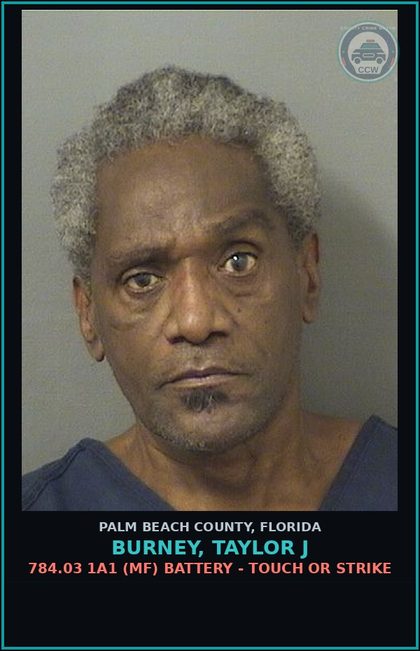 CCW arrest card for BURNEY, TAYLOR J in Palm Beach County: 784.03 1A1 (MF) BATTERY - TOUCH OR STRIKE