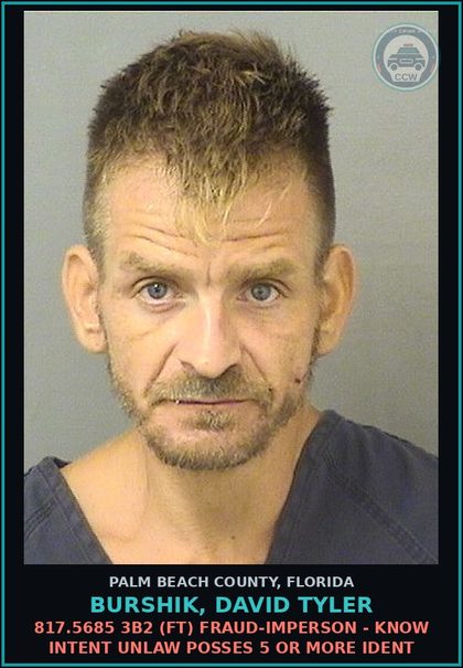 CCW arrest card for BURSHIK, DAVID TYLER in Palm Beach County: 810.09 2C (FT) TRESPASSING - TRESPASS POSTED CONSTRUCTION SITE