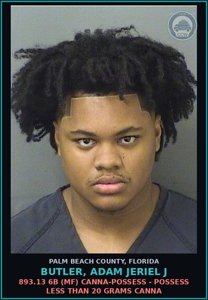 CCW arrest card for BUTLER, ADAM JERIEL J in Palm Beach County: 893.13 6B (MF) Canna-POSSESS - POSSESS LESS THAN 20 GRAMS Canna