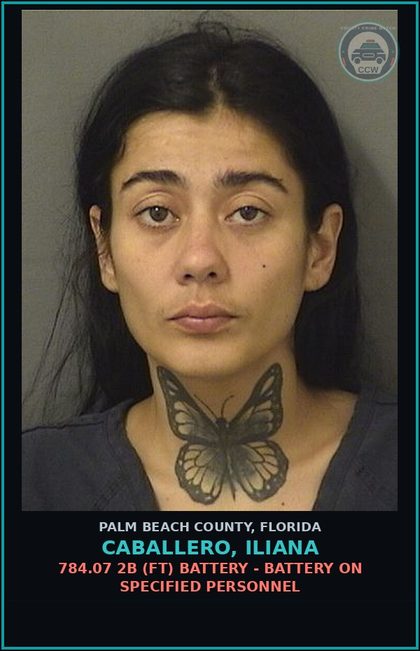 CCW arrest card for CABALLERO, ILIANA in Palm Beach County: 784.07 2B (FT) BATTERY - BATTERY ON SPECIFIED PERSONNEL