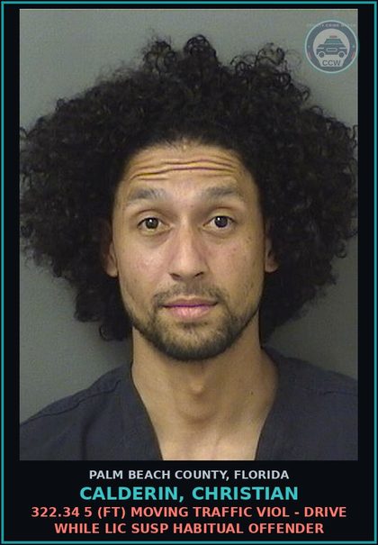 CCW arrest card for CALDERIN, CHRISTIAN in Palm Beach County: 322.34 5 (FT) MOVING TRAFFIC VIOL - DRIVE WHILE LIC SUSP HABITUAL OFFENDER