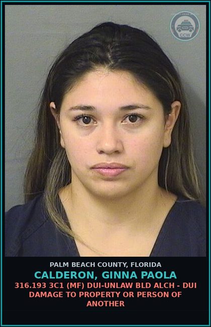 CCW arrest card for CALDERON, GINNA PAOLA in Palm Beach County: 316.193 3C1 (MF) DUI-UNLAW BLD ALCH - DUI DAMAGE TO PROPERTY OR PERSON OF ANOTHER