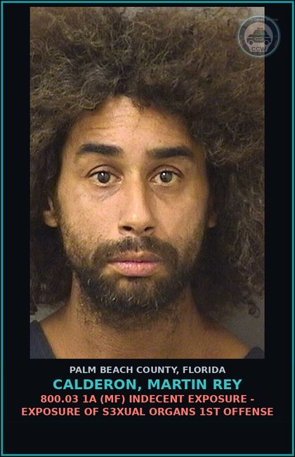 CCW arrest card for CALDERON, MARTIN REY in Palm Beach County: 800.03 1A (MF) INDECENT EXPOSURE - EXPOSURE OF s3xual ORGANS 1ST OFFENSE