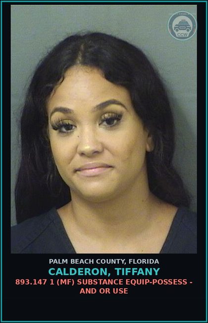 CCW arrest card for CALDERON, TIFFANY in Palm Beach County: 893.13 6A (FT) DRUGS-POSSESS - POSSESS contr substance W/O PRESCRIPTION