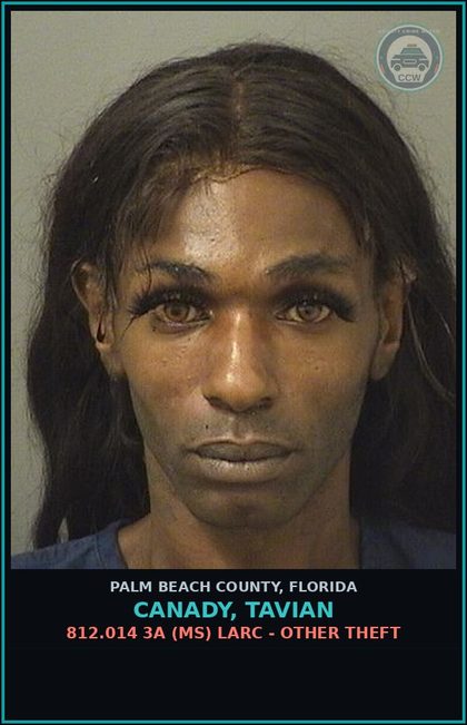 CCW arrest card for CANADY, TAVIAN in Palm Beach County: 812.014 3A (MS) LARC - OTHER THEFT