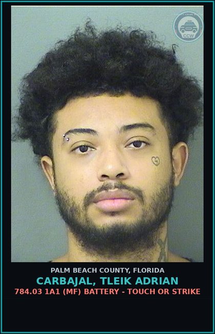 CCW arrest card for CARBAJAL, TLEIK ADRIAN in Palm Beach County: 0001 RETURN - RETURN PER COURT ORDER