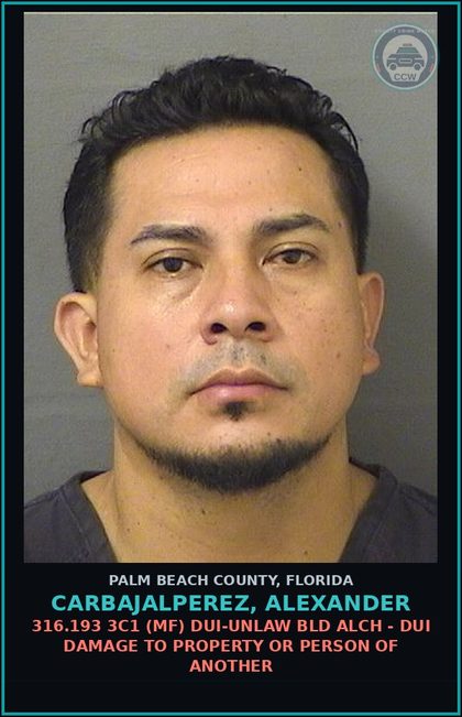 CCW arrest card for CARBAJALPEREZ, ALEXANDER in Palm Beach County: 316.193 3C1 (MF) DUI-UNLAW BLD ALCH - DUI DAMAGE TO PROPERTY OR PERSON OF ANOTHER