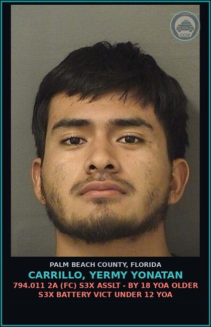 CCW arrest card for CARRILLO, YERMY YONATAN in Palm Beach County: 794.011 2A (FC) s3x ASSLT - BY 18 YOA OLDER s3x BATTERY VICT UNDER 12 YOA