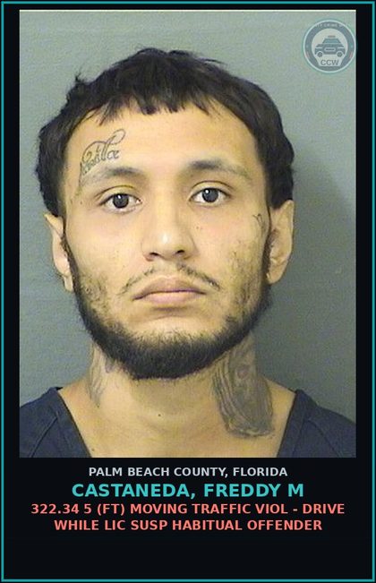 CCW arrest card for CASTANEDA, FREDDY M in Palm Beach County: 322.34 5 (FT) MOVING TRAFFIC VIOL - DRIVE WHILE LIC SUSP HABITUAL OFFENDER
