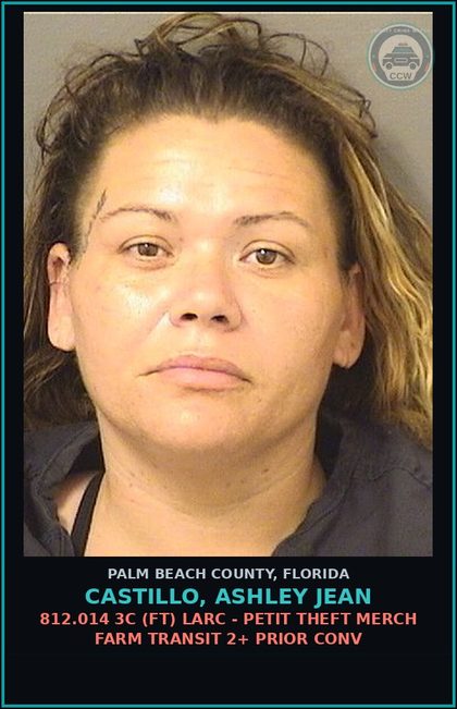 CCW arrest card for CASTILLO, ASHLEY JEAN in Palm Beach County: 812.014 3C (FT) LARC - PETIT THEFT MERCH FARM TRANSIT 2+ PRIOR CONV