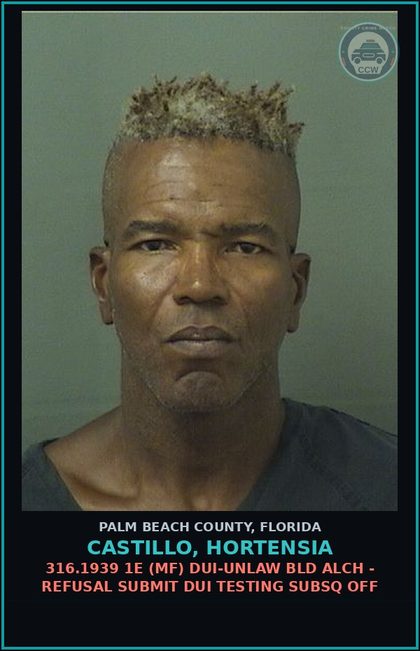 CCW arrest card for CASTILLO, HORTENSIA in Palm Beach County: 316.193 1A (MS) DUI-UNLAW BLD ALCH - DUI INFLUENCE OF ALCOHOL OR DRUGS