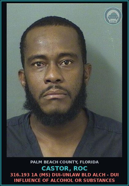 CCW arrest card for CASTOR, ROC in Palm Beach County: 316.193 1A (MS) DUI-UNLAW BLD ALCH - DUI INFLUENCE OF ALCOHOL OR DRUGS