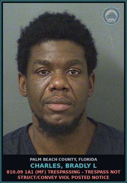 CCW arrest card for CHARLES, BRADLY L in Palm Beach County: 810.09 1A1 (MF) TRESPASSING - TRESPASS NOT STRUCT/CONVEY VIOL POSTED NOTICE