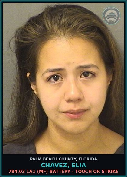 CCW arrest card for CHAVEZ, ELIA in Palm Beach County: 784.03 1A1 (MF) BATTERY - TOUCH OR STRIKE