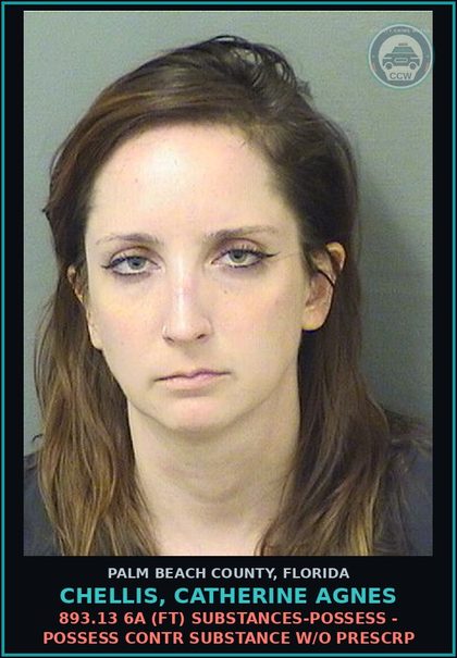 CCW arrest card for CHELLIS, CATHERINE AGNES in Palm Beach County: 893.13 6A (FT) DRUGS-POSSESS - POSSESS contr substance W/O PRESCRIPTION