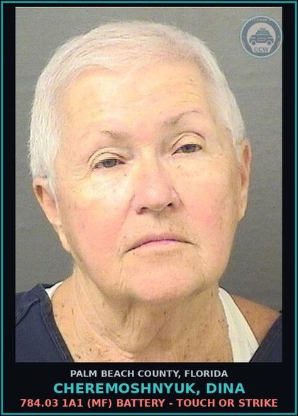CCW arrest card for CHEREMOSHNYUK, DINA in Palm Beach County: 784.03 1A1 (MF) BATTERY - TOUCH OR STRIKE