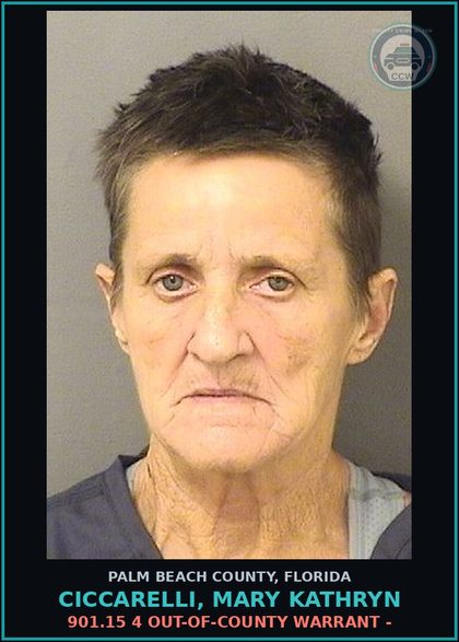CCW arrest card for CICCARELLI, MARY KATHRYN in Palm Beach County: 901.15 4 OUT-OF-COUNTY WARRANT -