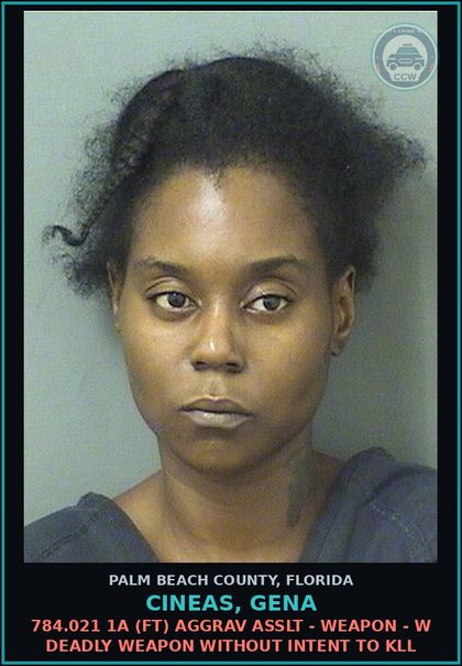 CCW arrest card for CINEAS, GENA in Palm Beach County: 784.021 1A (FT) AGGRAV ASSLT - WEAPON - W DEADLY WEAPON WITHOUT INTENT TO KILL