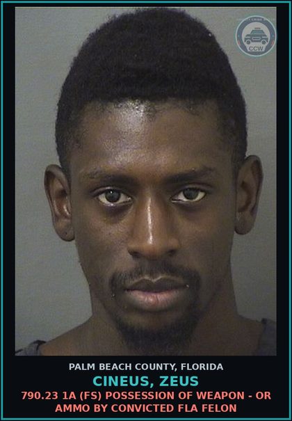 CCW arrest card for CINEUS, ZEUS in Palm Beach County: 812.014 3C (FT) LARC - PETIT THEFT MERCH FARM TRANSIT 2+ PRIOR CONV