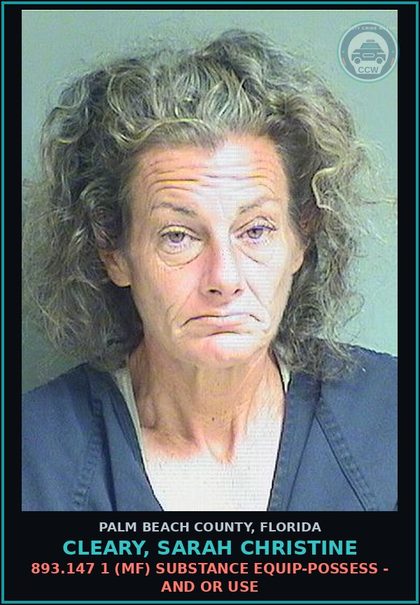 CCW arrest card for CLEARY, SARAH CHRISTINE in Palm Beach County: 893.13 6A (FT) DRUGS-POSSESS - POSSESS contr substance W/O PRESCRIPTION