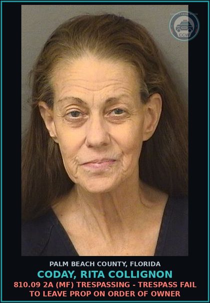 CCW arrest card for CODAY, RITA COLLIGNON in Palm Beach County: 810.09 2A (MF) TRESPASSING - TRESPASS FAIL TO LEAVE PROP ON ORDER OF OWNER