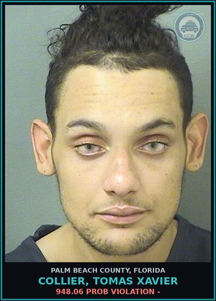 CCW arrest card for COLLIER, TOMAS XAVIER in Palm Beach County: 948.06 PROB VIOLATION -