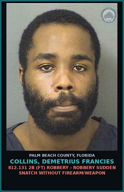 CCW arrest card for COLLINS, DEMETRIUS FRANCIES in Palm Beach County: 812.131 2B (FT) ROBBERY - ROBBERY SUDDEN SNATCH WITHOUT FIREARM/WEAPON