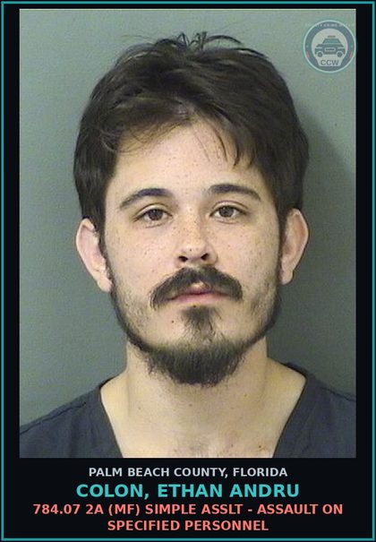 CCW arrest card for COLON, ETHAN ANDRU in Palm Beach County: 784.07 2A (MF) SIMPLE ASSLT - ASSAULT ON SPECIFIED PERSONNEL