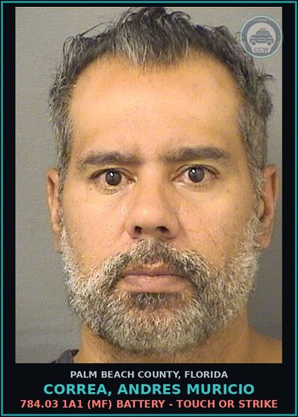 CCW arrest card for CORREA, ANDRES MURICIO in Palm Beach County: 784.03 1A1 (MF) BATTERY - TOUCH OR STRIKE