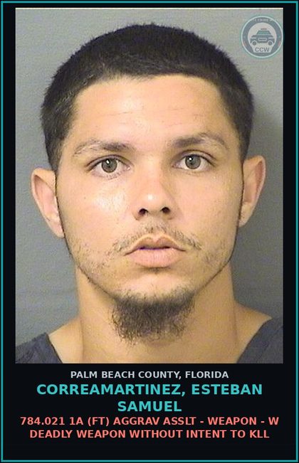 CCW arrest card for CORREAMARTINEZ, ESTEBAN SAMUEL in Palm Beach County: 784.021 1A (FT) AGGRAV ASSLT - WEAPON - W DEADLY WEAPON WITHOUT INTENT TO KILL