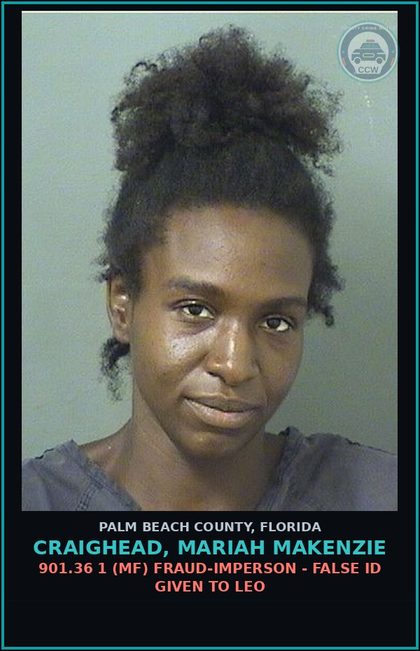 CCW arrest card for CRAIGHEAD, MARIAH MAKENZIE in Palm Beach County: 812.014 3B (MF) LARC - PETIT THEFT MERCH FARM TRANSIT PRIOR CONV