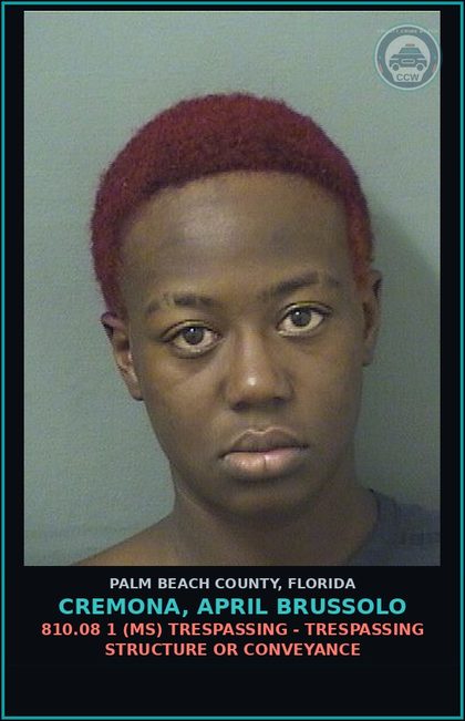 CCW arrest card for CREMONA, APRIL BRUSSOLO in Palm Beach County: 810.08 1 (MS) TRESPASSING - TRESPASSING STRUCTURE OR CONVEYANCE