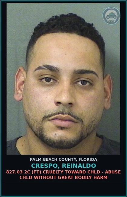 CCW arrest card for CRESPO, REINALDO in Palm Beach County: 827.03 2C (FT) CRUELTY TOWARD chld - ABUSE chld WITHOUT GREAT BODILY HARM